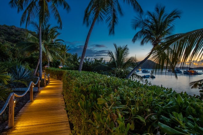 Paseo de madera bordeando una playa del Caribe con palmeras y plantas alrededor
